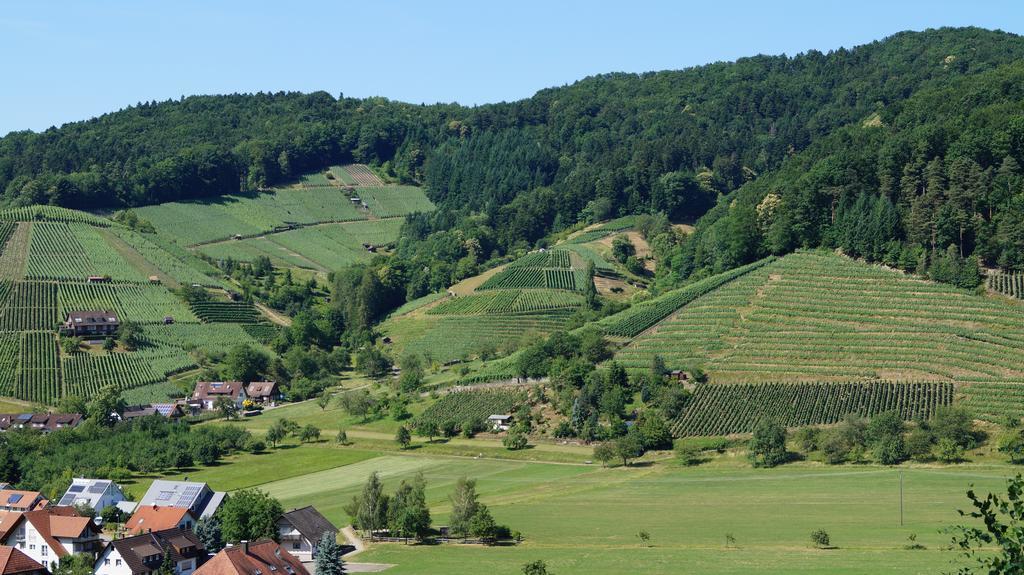Hotel Schwarzenbergs Traube Glottertal Luaran gambar