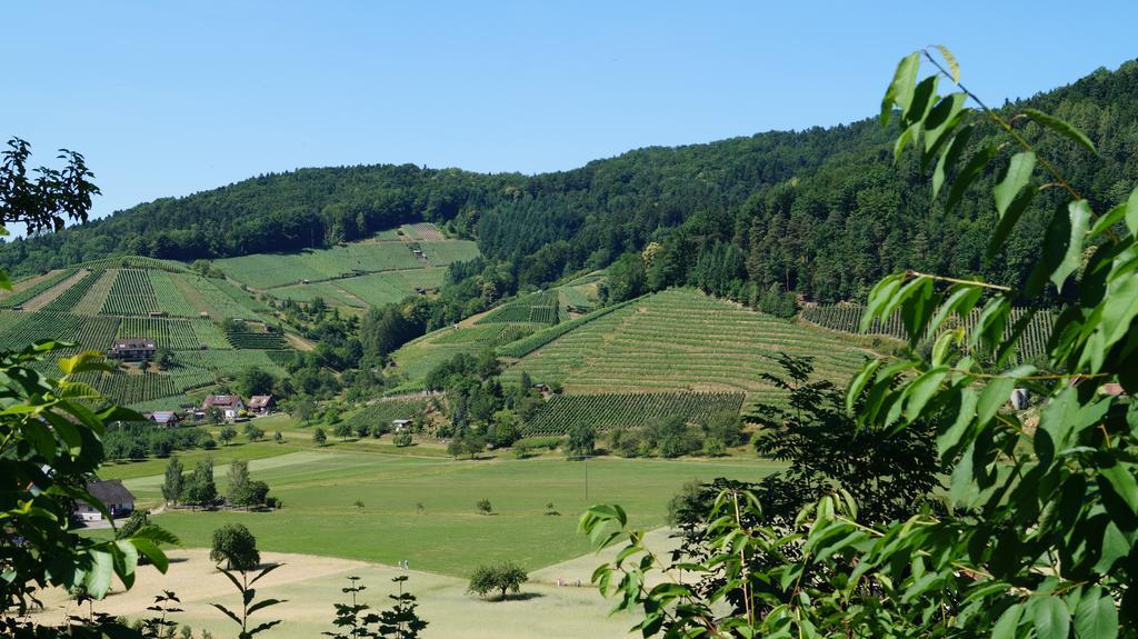 Hotel Schwarzenbergs Traube Glottertal Luaran gambar